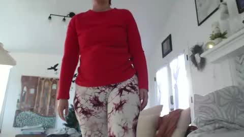 Aurora Willows online show from January 2026 05:38:01 PM