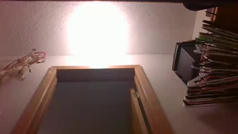 Snapshot of 123loonymail chatting on October 2025 09:41:01 AM 123loonymail online show from October 2025 09:41:01 AM