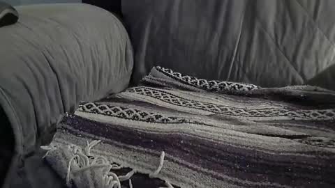 1badboy360 online show from December 2024 01:13:01 PM