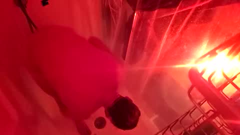 1knightluver69 online show from March 2026 08:59:01 AM