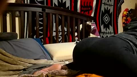 1knightluver69 online show from April 2026 08:44:02 AM