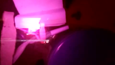 1st___ online show from November 2025 08:58:01 AM