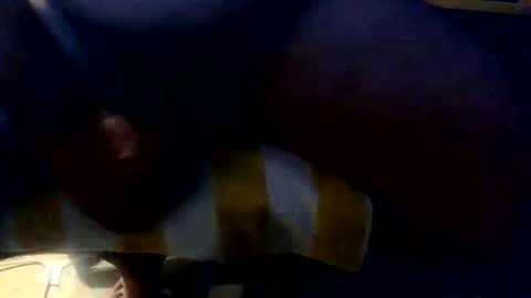 2025shay2009 online show from November 2025 12:15:01 PM