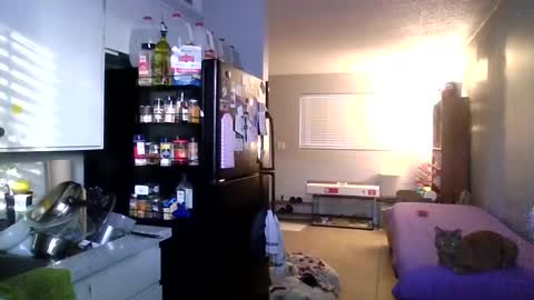 2girls1link online show from December 2024 03:31:01 PM