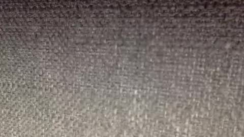 30nick online show from April 2026 08:24:01 AM