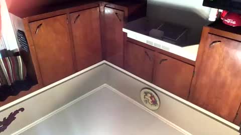 33adidas online show from November 2025 11:54:01 AM