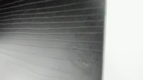 3X NAXAA online show from September 2025 12:16:01 PM