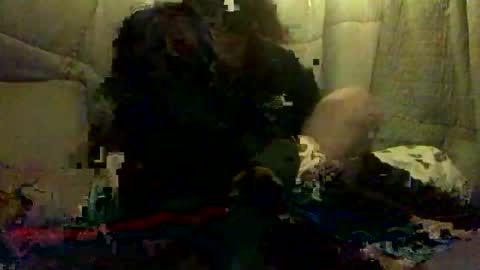 420alwayshard online show from April 2026 11:31:02 AM