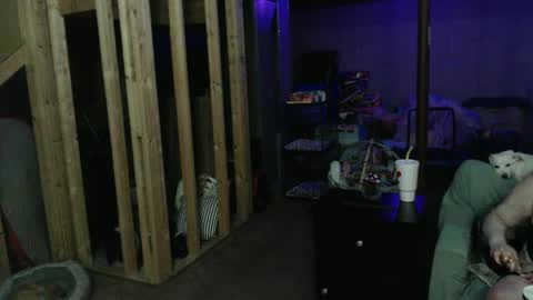 420bunnie online show from March 2025 03:53:02 AM