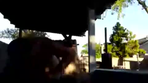 420dick420707 online show from March 2026 01:20:01 AM