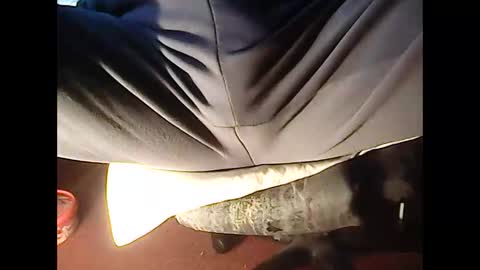 Snapshot of 4guy200 chatting on November 2025 12:10:02 AM 4guy200 online show from November 2025 12:10:02 AM