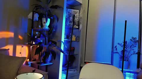 Sunshine online show from December 2024 04:42:02 AM