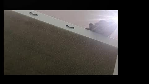 RecentBison online show from November 2025 08:44:01 PM