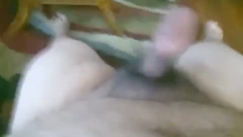 5tone_bon3 online show from January 2025 12:42:02 PM