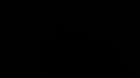 SHANNON online show from December 2024 04:09:02 PM