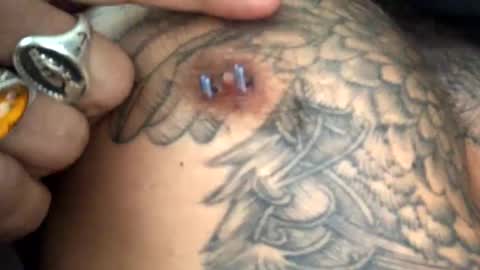 6990fiko online show from February 2025 02:06:02 PM