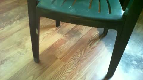 69forever453443 online show from October 2025 12:25:01 PM