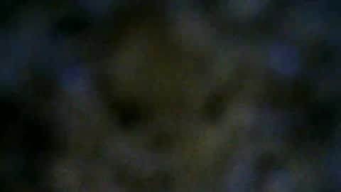 Snapshot of 77lilu chatting on June 2026 10:03:02 PM Lilu online show from June 2026 10:03:02 PM
