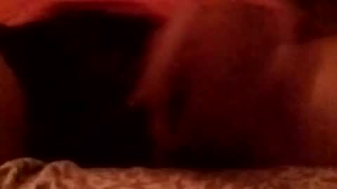 8inchhardbr online show from February 2026 03:59:02 AM