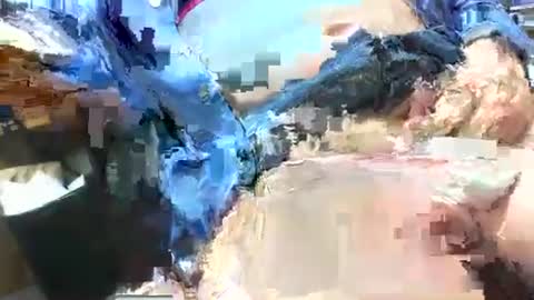 99zeus9 online show from April 2026 04:26:01 PM