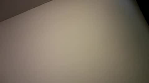 Snapshot of 9thislandd chatting on December 2024 02:19:02 AM 9thislandd online show from December 2024 02:19:02 AM