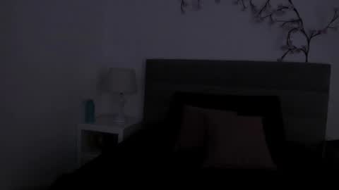 Snapshot of _analyy_ chatting on February 2026 01:23:02 PM Analy online show from February 2026 01:23:02 PM