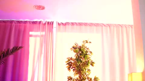 Arielle online show from February 2025 12:25:02 PM