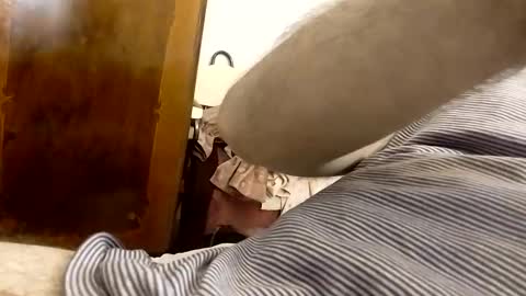 _black_horse_1 online show from January 2025 03:43:01 AM