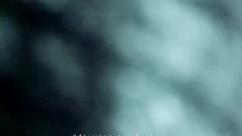 _black_horse_1 online show from May 2026 10:50:03 PM