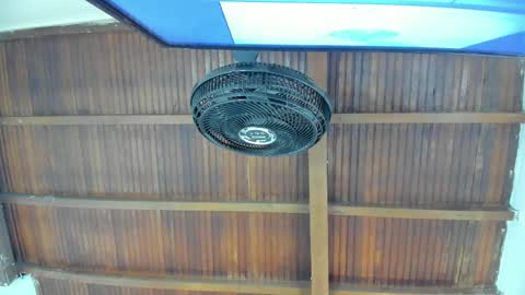 Candy online show from November 2025 06:06:02 PM