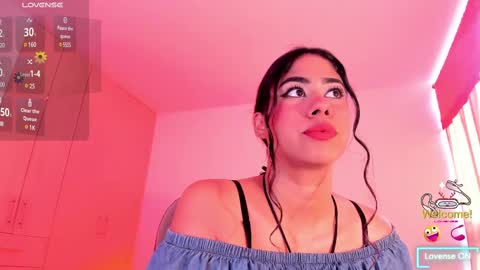 Snapshot of _devika chatting on February 2025 04:21:02 PM _devika online show from February 2025 04:21:02 PM