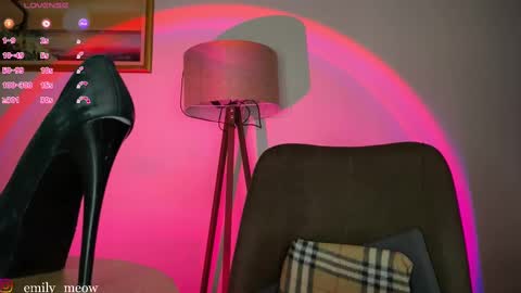 Emily online show from March 2025 02:34:02 PM