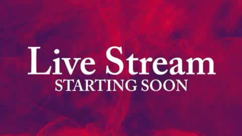  ittybitty online show from February 2026 03:38:02 AM