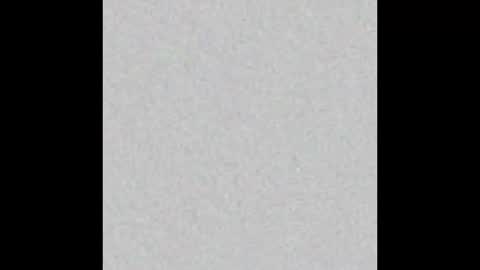 Miss Jade online show from March 2025 11:17:01 AM