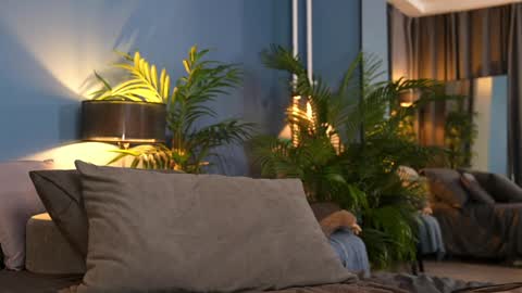 FANSLY ---   anal in private 700 tokens online show from November 2025 11:29:01 PM