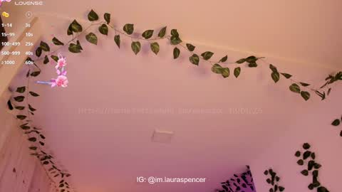 Snapshot of _lauraspencer_ chatting on January 2025 11:53:02 PM Laura online show from January 2025 11:53:02 PM