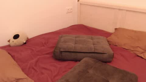 Snapshot of _lustica_ chatting on February 2025 11:50:02 AM Anna online show from February 2025 11:50:02 AM