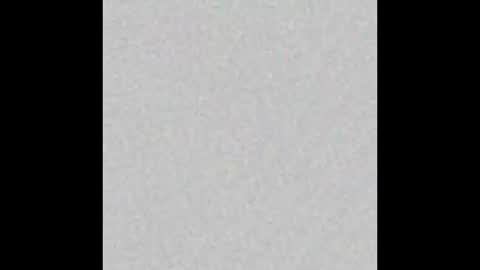 _maccaa_ online show from October 2025 11:58:01 AM