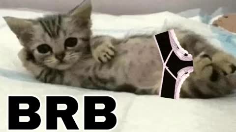 miko3 online show from March 2026 09:54:01 PM