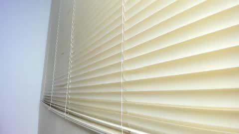 _molly_rosse_ online show from November 2025 11:54:01 AM