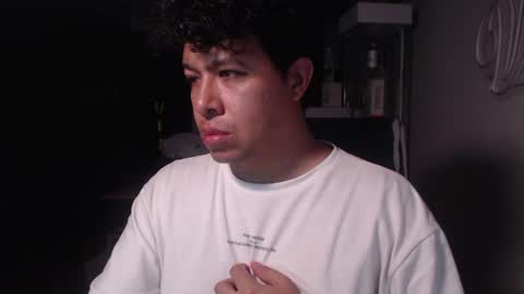 Snapshot of _mr_panda_ chatting on January 2025 12:27:02 AM Panda online show from January 2025 12:27:02 AM