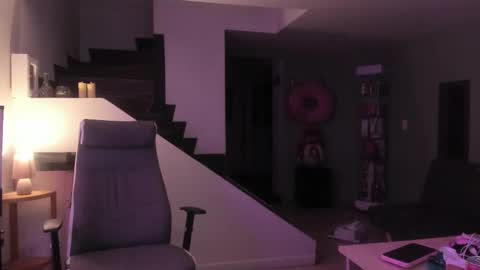 Snapshot of _mr_panda_ chatting on February 2025 03:29:01 AM Panda online show from February 2025 03:29:01 AM