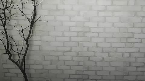 Snapshot of _snow_queen__ chatting on December 2024 01:27:02 PM Rachel online show from December 2024 01:27:02 PM