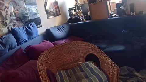 Sven online show from November 2025 12:15:02 PM