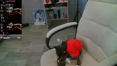 Milana   welcome to my world  online show from February 2025 07:53:02 AM