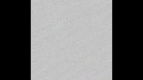 _tammarra_ online show from January 2026 12:31:01 PM