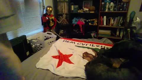 A Bored Dragon online show from March 2025 03:56:01 PM