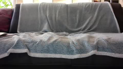 a_nice_dick_77 online show from February 2025 10:08:02 AM