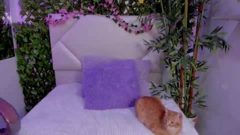 ABBY online show from November 2025 03:56:02 PM