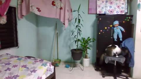 Abby online show from February 2025 12:36:02 AM